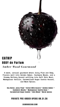 Catnip | Body Serum Oil | PRE-ORDER