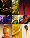 The GourMan Contest | Deluxe Fragrance Sample | Discipline v. Would You Mind